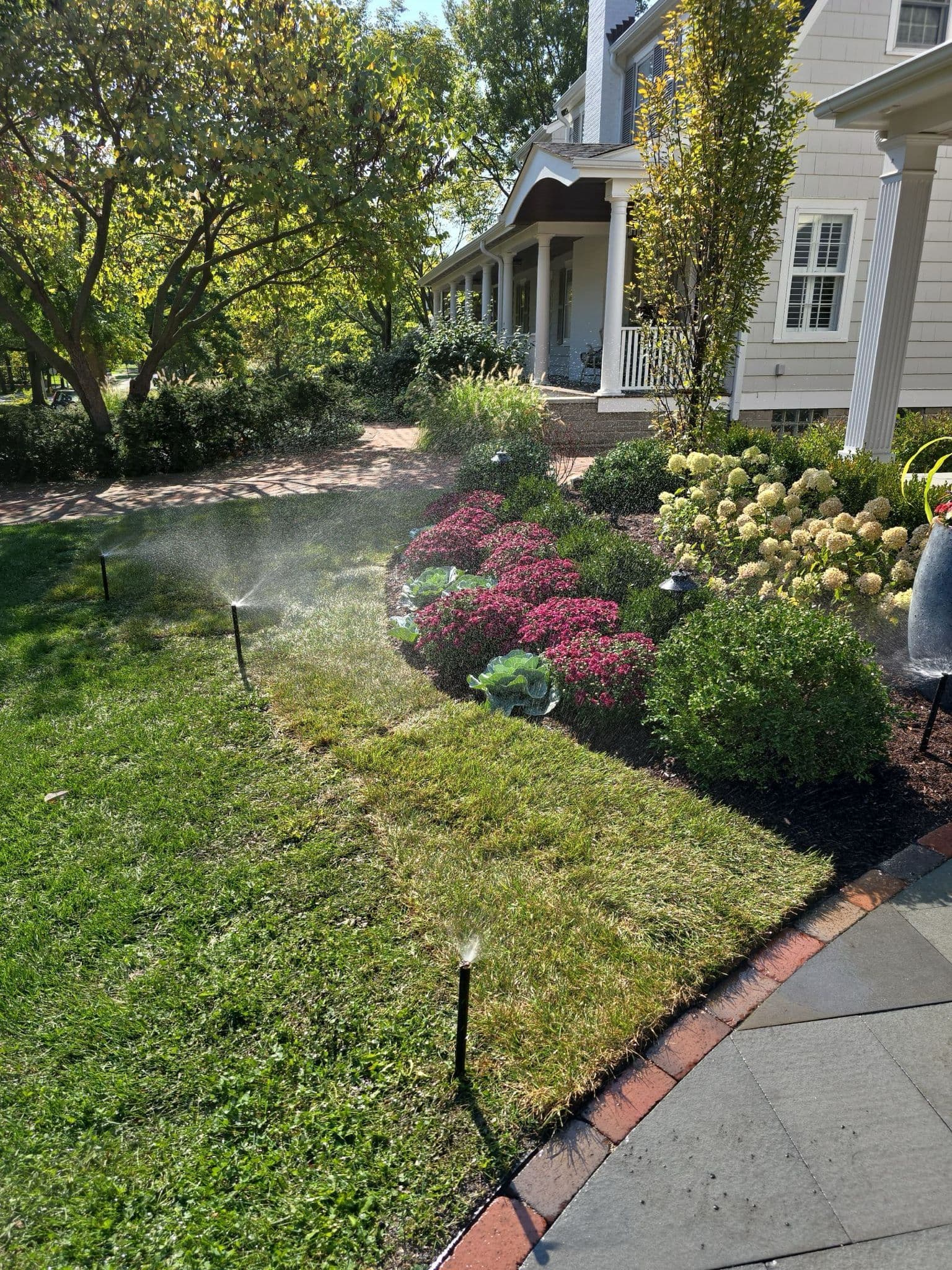 Front Yard Landscaping